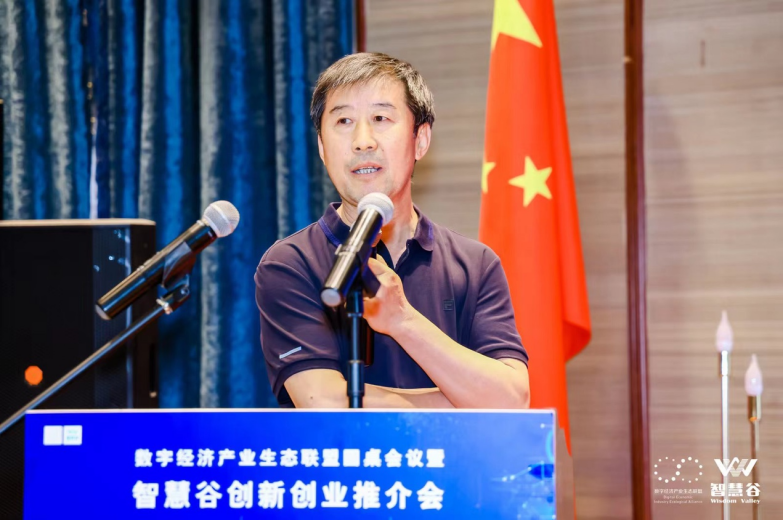 太极计算机股份有限公司电科太极智慧城市资深专家、数字经济研究员莫日根发言