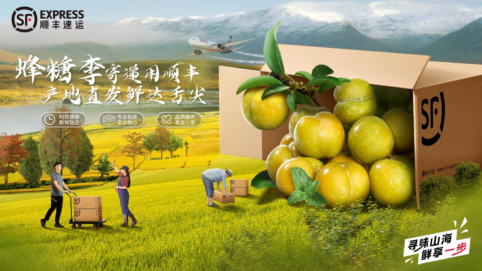 蜂糖李寄递宣传海报。