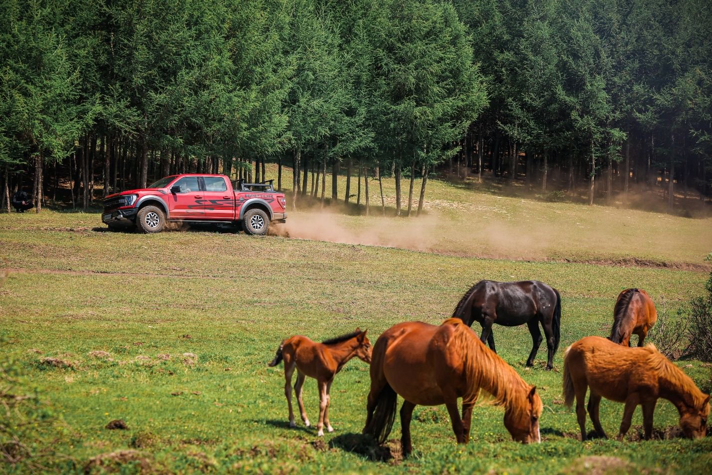 全新一代福特F-150猛禽烈焰风暴特别版