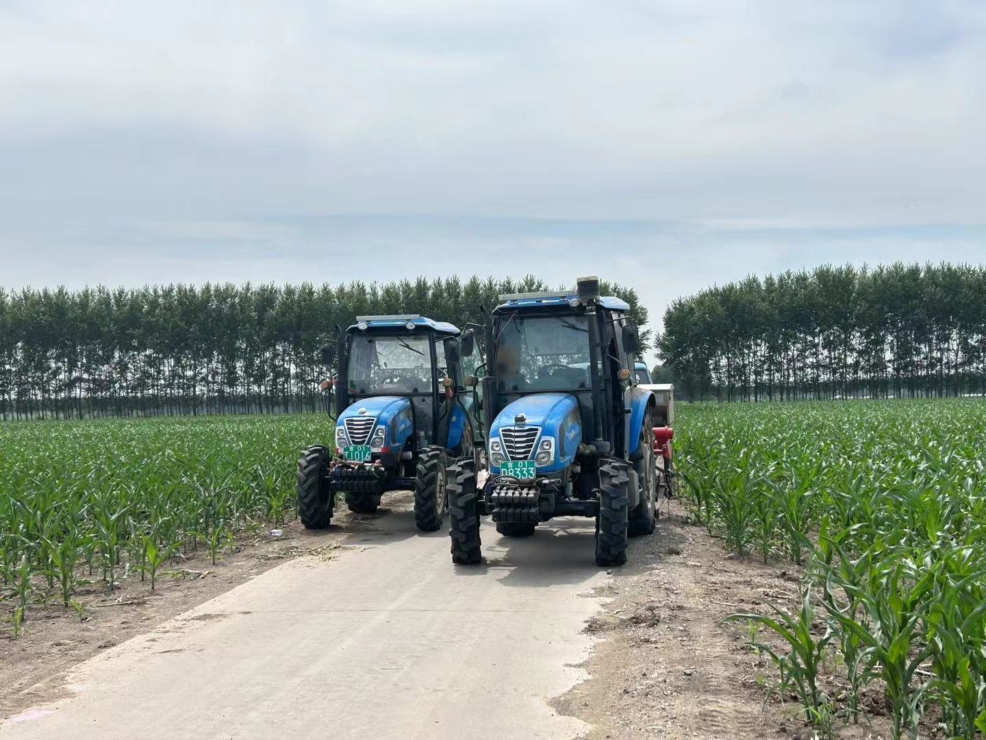 长春市：强化科技支撑，让黑土地保护更接地气