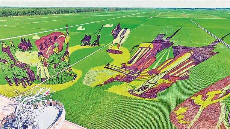 北大荒集团宝泉岭分公司稻田画。