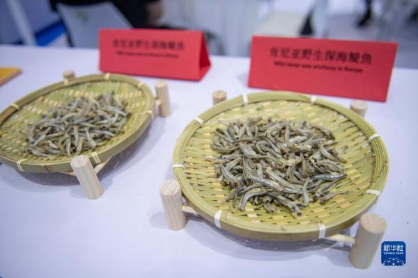 这是在第三届中非经贸博览会主展馆长沙国际会展中心展出的肯尼亚野生鳀鱼产品(6月29日摄)。新华社记者 孙瑞博 摄