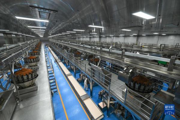 这是位于湖南省岳阳市平江高新技术产业园的劲仔食品平江生产基地的自动化生产线(6月28日摄)。新华社记者 陈晔华 摄