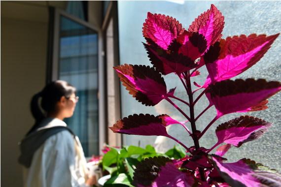 抑郁症患者内心晦暗如深海，马斯克也在服药