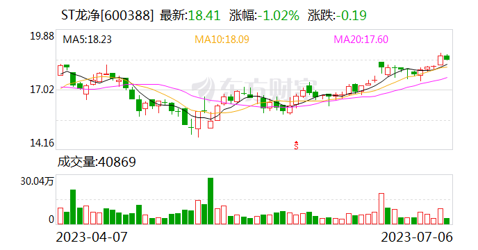原实控人指使关联方占用资金 ST龙净及相关责任人收罚单