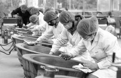 学校茶叶生产与加工技术专业学子学习传承龙井茶手工制作技艺。