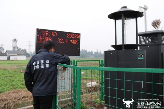 图注:技术员工常态巡察并保障农业物联网平台网络畅通。