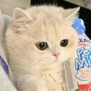 【会议预约】国金宏观陈达飞:美国经济“着陆”了吗?