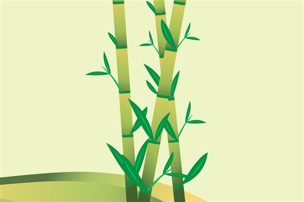 大熊猫急转刹车帅气亮相：还知道站在“聚光灯”下