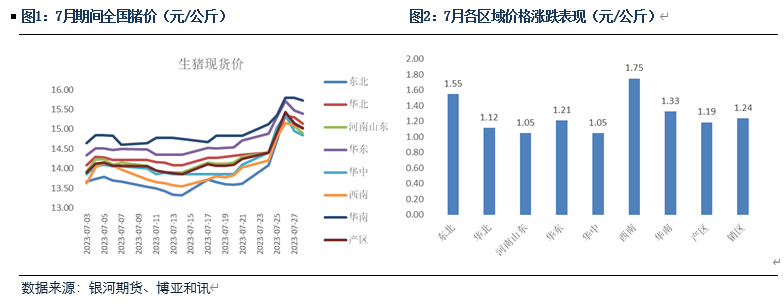 生猪出栏体重持续下滑 猪价迎来阶段性反弹,第2张