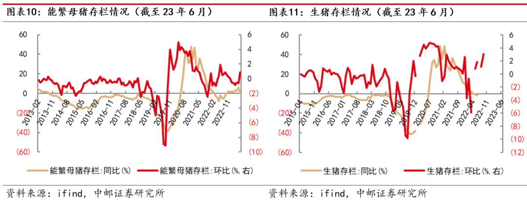 中邮·农林牧渔|周观点:猪价上涨,产能去化仍是下半年主节奏