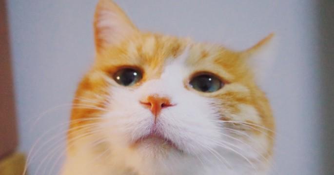 缩量三连阳，上涨乏力还是蓄势待涨？看同有科技14次回测数据n