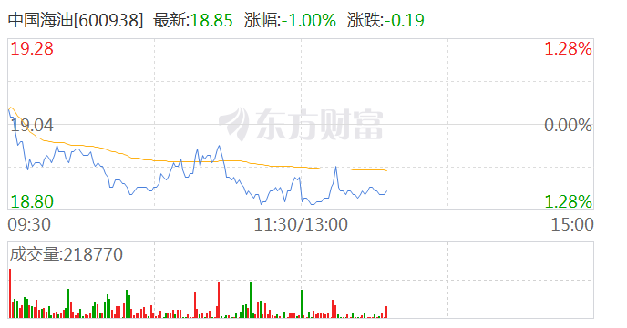 三桶油盘中持续低迷 中国石油跌近5%