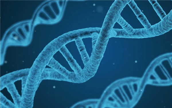 【本文结束】如需转载请务必注明出处:快科技责任编辑:鹿角