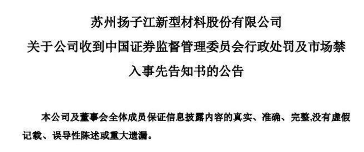 扬子新材原总经理胡卫林遭10年市场禁入，大批董事会成员辞职