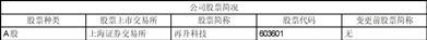 重庆再升科技股份有限公司2023半年度报告摘要