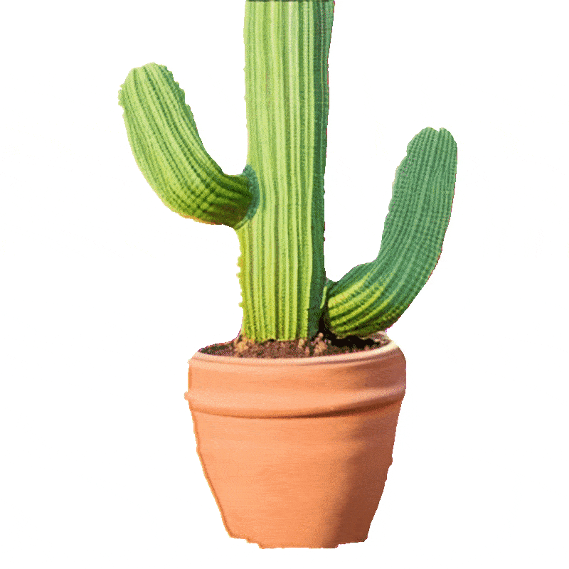 Let’s Make-It-3D!上交&微软最新开源2D转3D生成研究,Star超过1k星