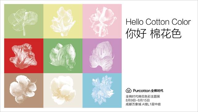 来源:消费日报网