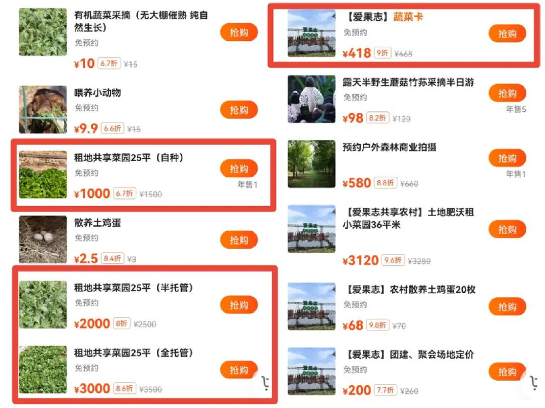 北上广的年轻人,周末扎堆菜地