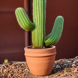 Let’s Make-It-3D!上交&微软最新开源2D转3D生成研究,Star超过1k星