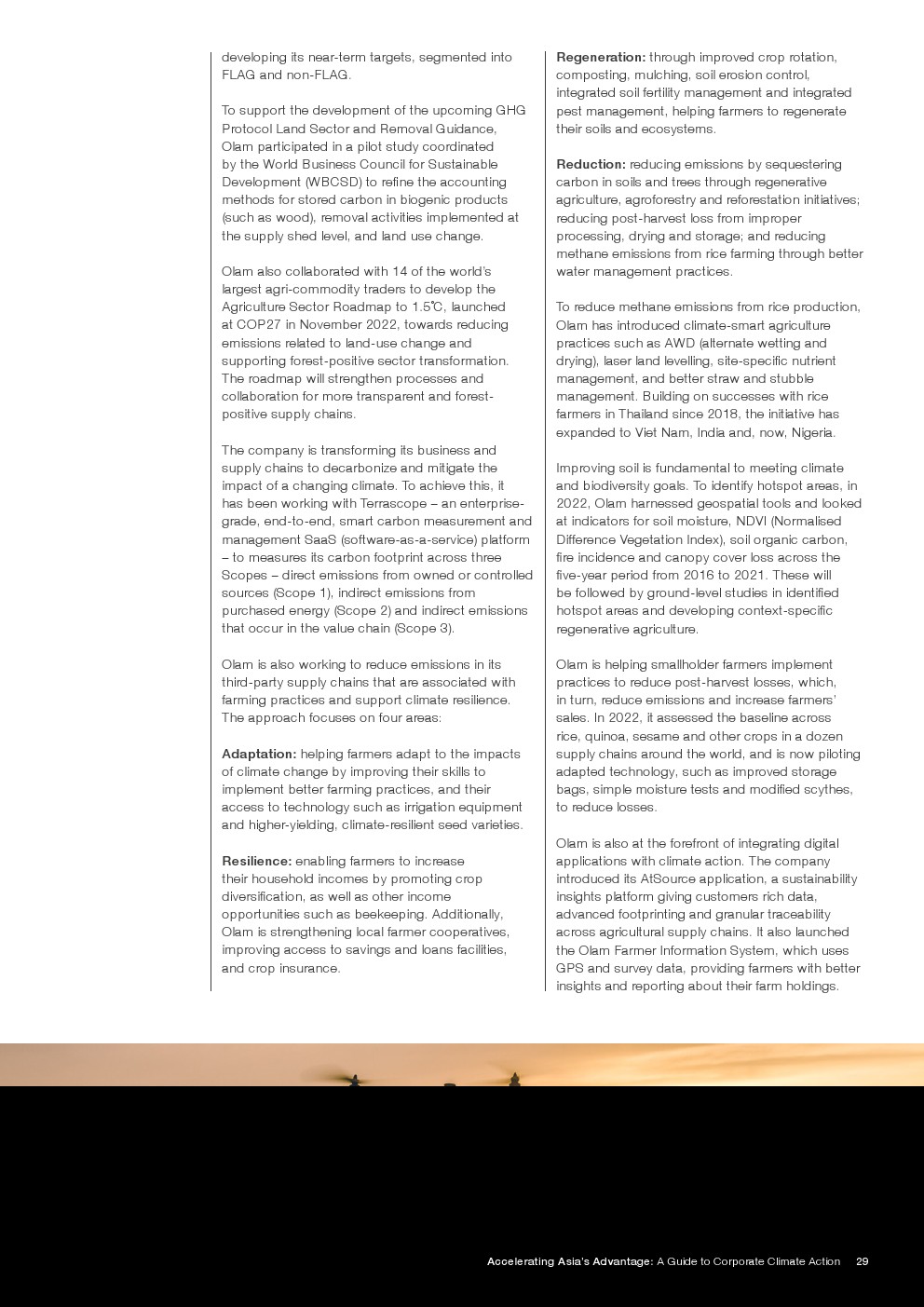 世界经济论坛：2023年亚洲企业气候行动指南