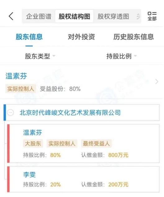 时代峰峻的股权架构 图片来源:企查查截图
