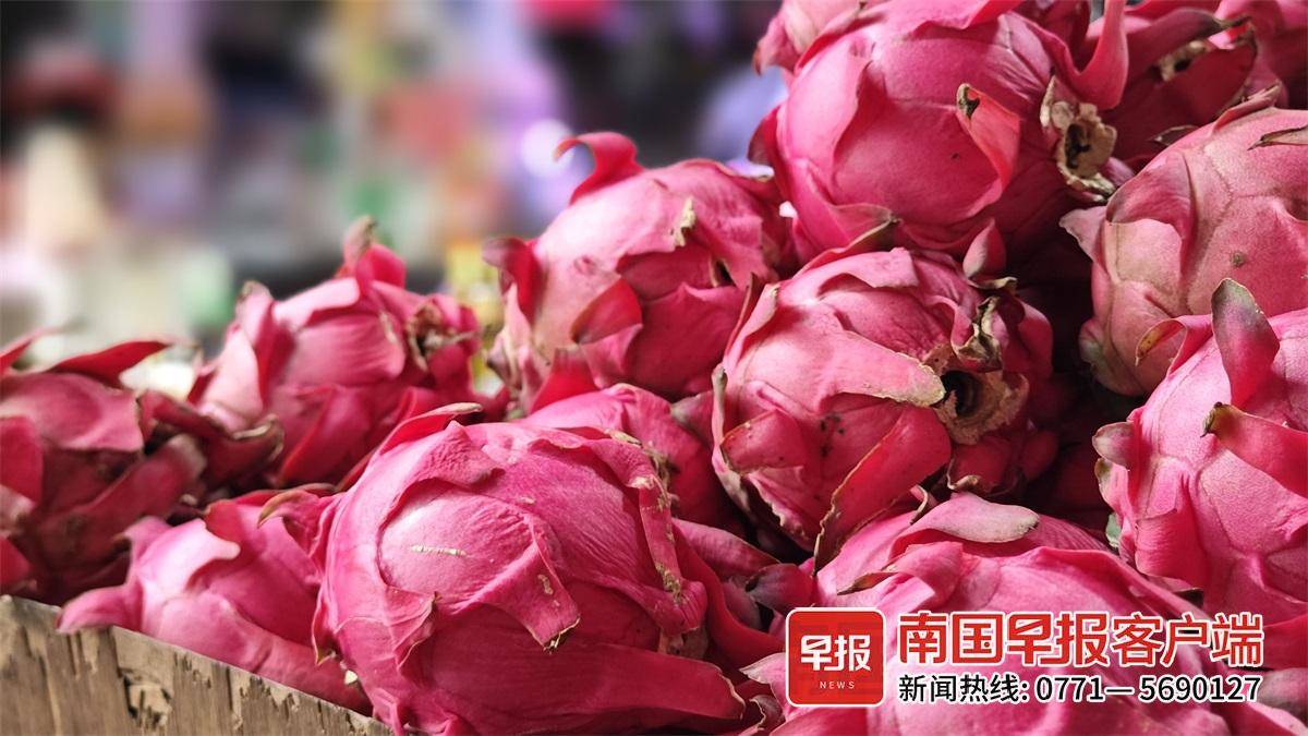 火龙果够大,且色相好。