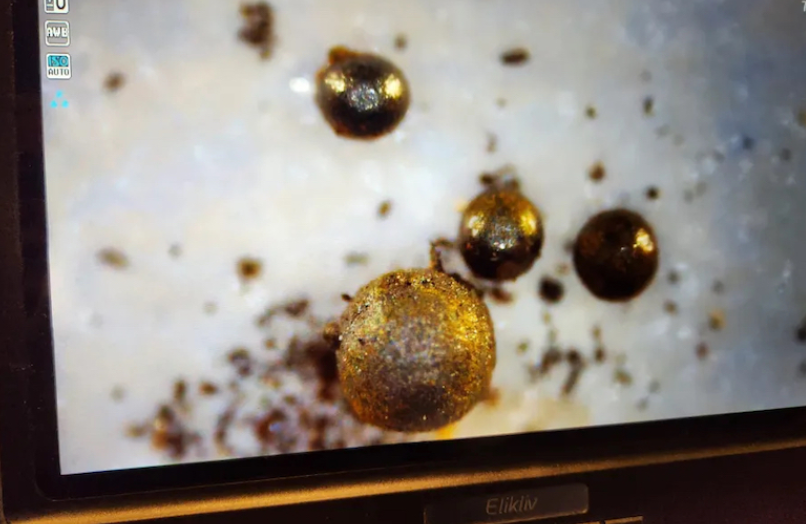 哈佛教授声称“可能发现外星人存在的证据” 但股民们先别急着学习