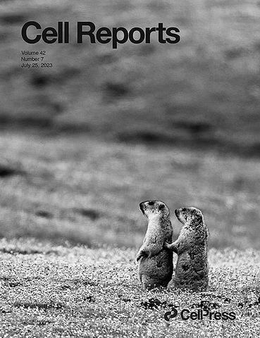 揭秘“网红”土拨鼠的“私生活”