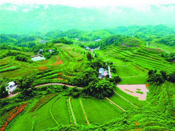 风吹稻花香小河水流淌是什么歌（风吹稻花香两岸）