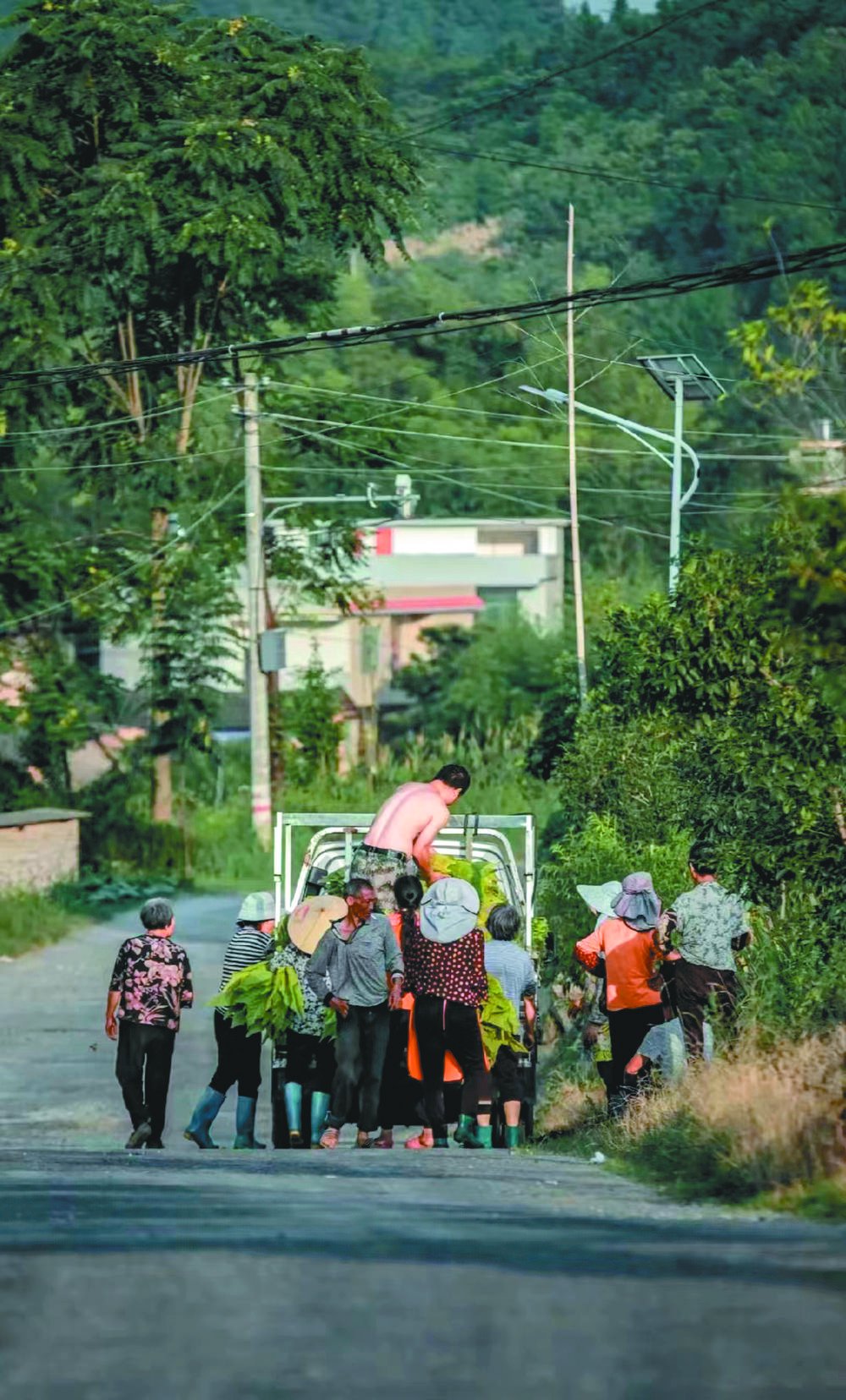 风吹稻花香小河水流淌是什么歌（风吹稻花香两岸）
