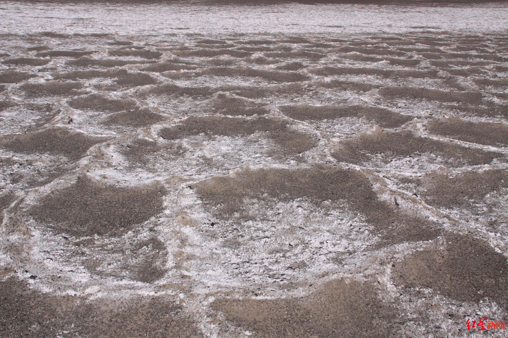 雷殿生罗布泊专访（探险者雷殿生演讲）