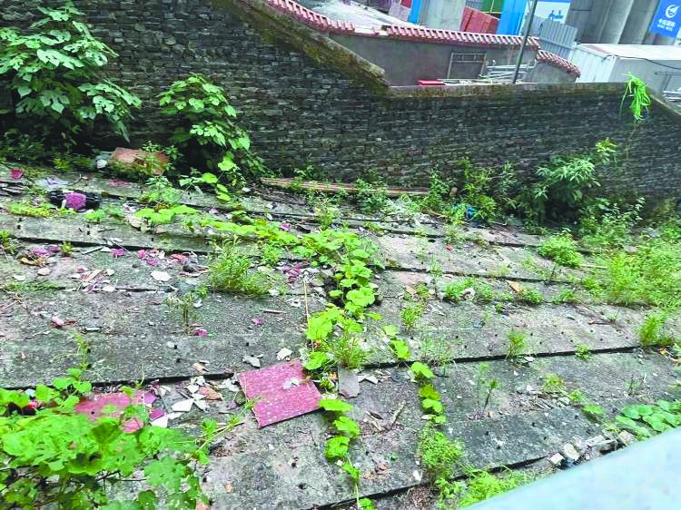 望龙门火锅怎么样（望龙门码头）