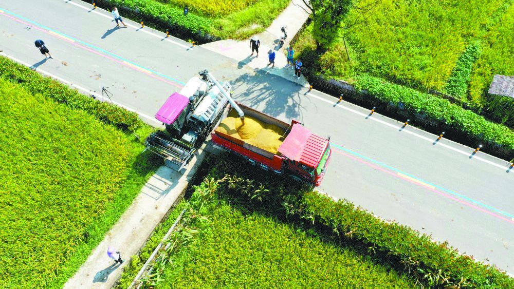 风吹稻花香小河水流淌是什么歌（风吹稻花香两岸）