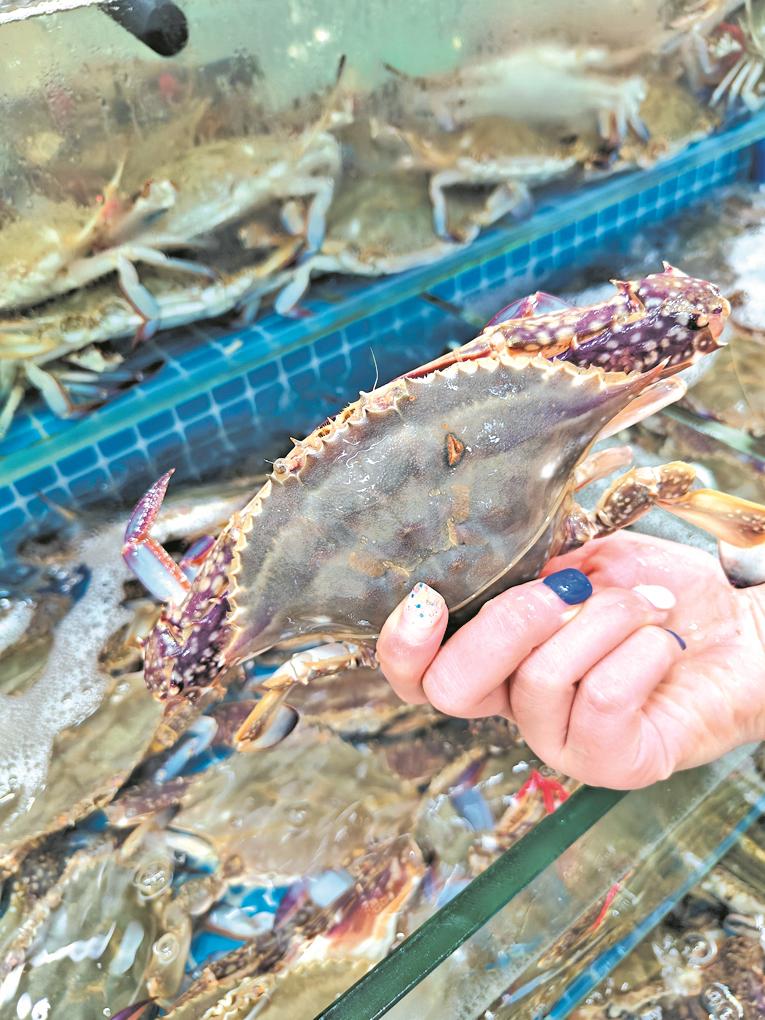 梭子蟹价格最新行情2016 cb53-a27efbb4273113e5710aa9fbc7aee775.jpg