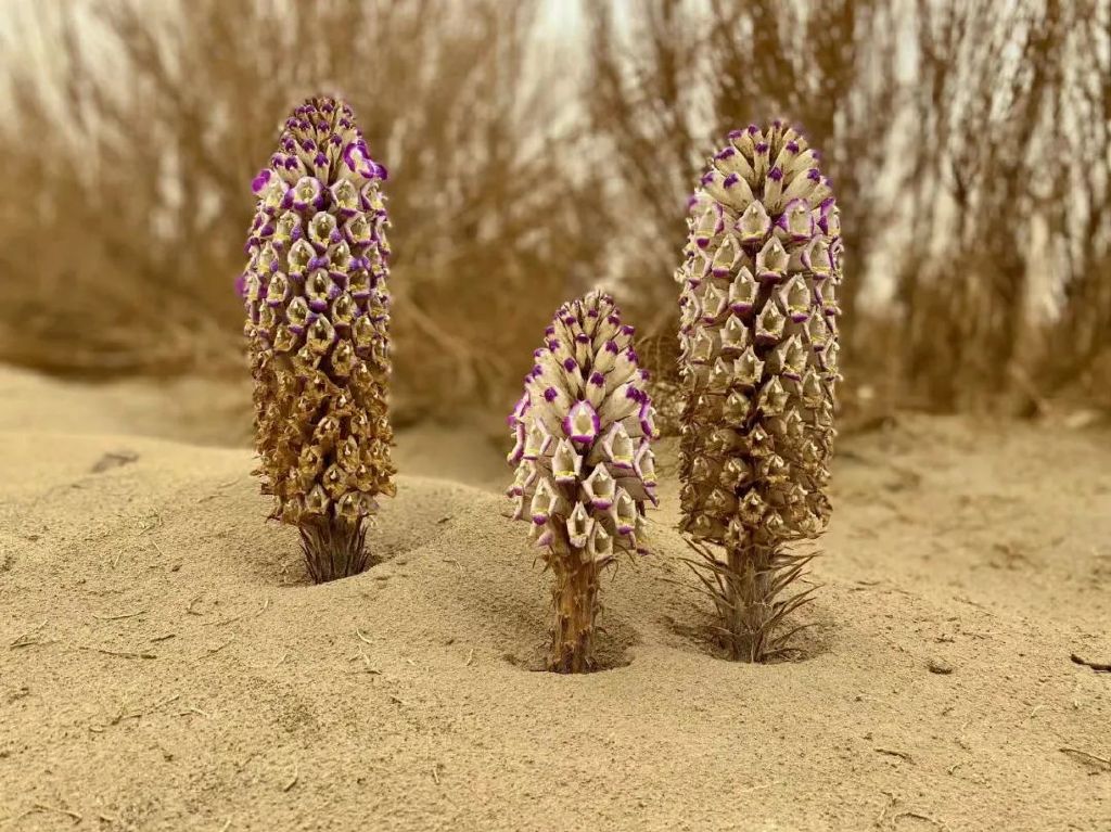 年产值30个亿企业，年产值过亿什么概念