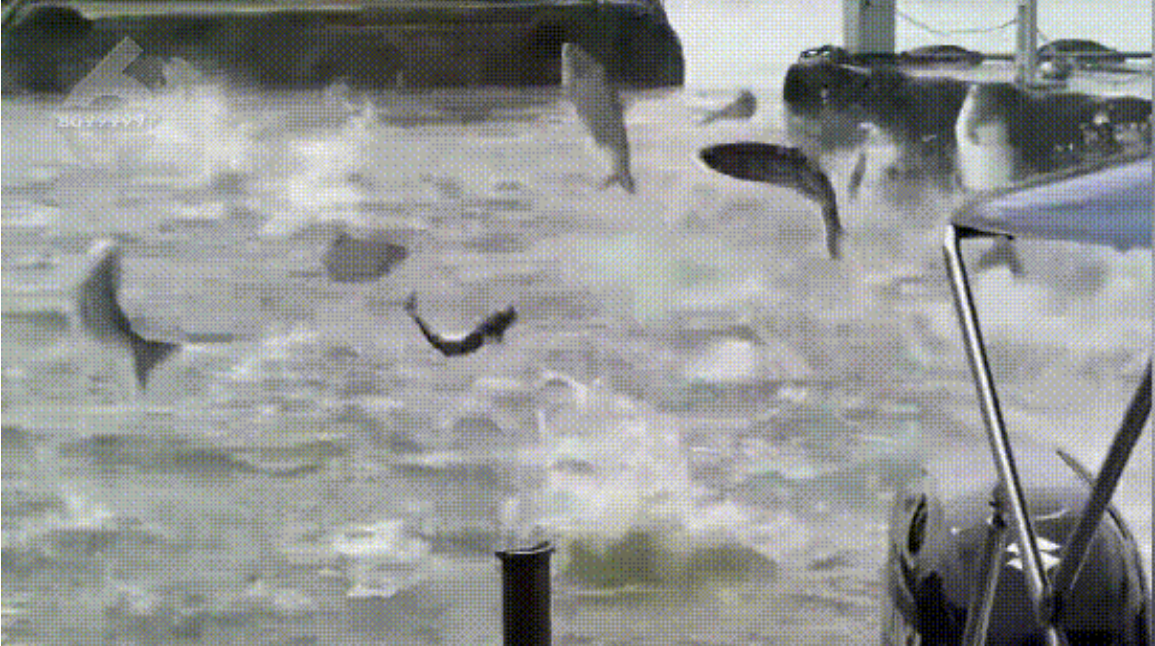 走近滇池，漫步昆明滇池