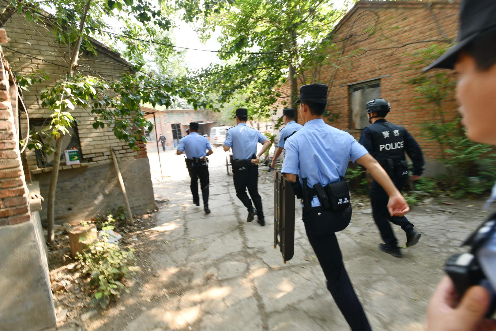 河北鸵鸟养殖孵化总基地，鸵鸟养殖基地建设偏坡型可以吗