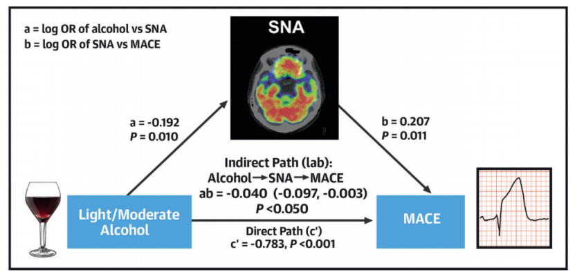 适当饮酒有益身体健康,饮酒有益身心健康