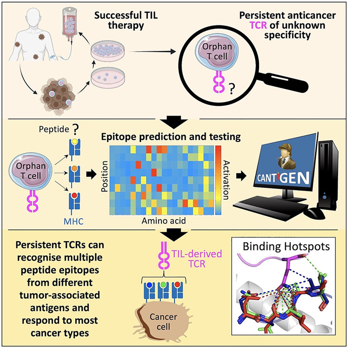 杀伤性极大，杀死超级细菌的新药2020