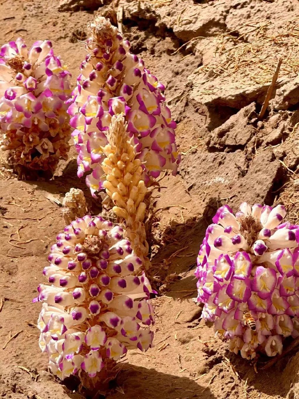 年产值30个亿企业，年产值过亿什么概念