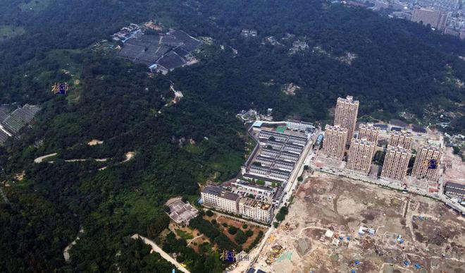 “宇宙第一房企”遭遇危机三杀!温州的项目怎么办?