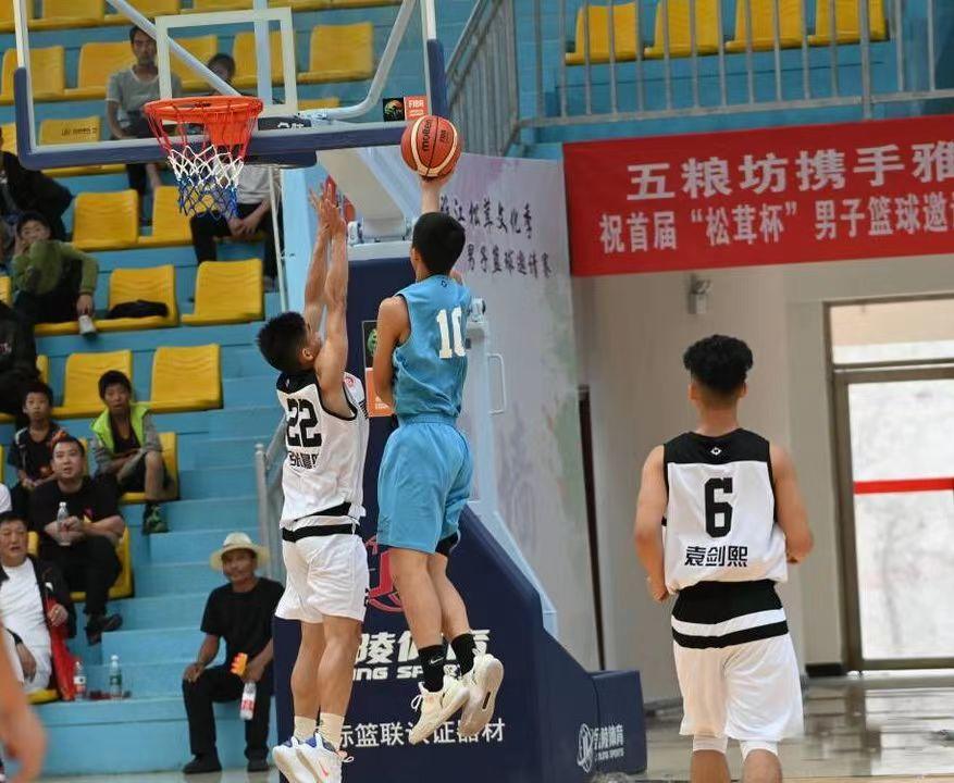 雅江为什么是松茸之乡,四川雅江松茸之乡