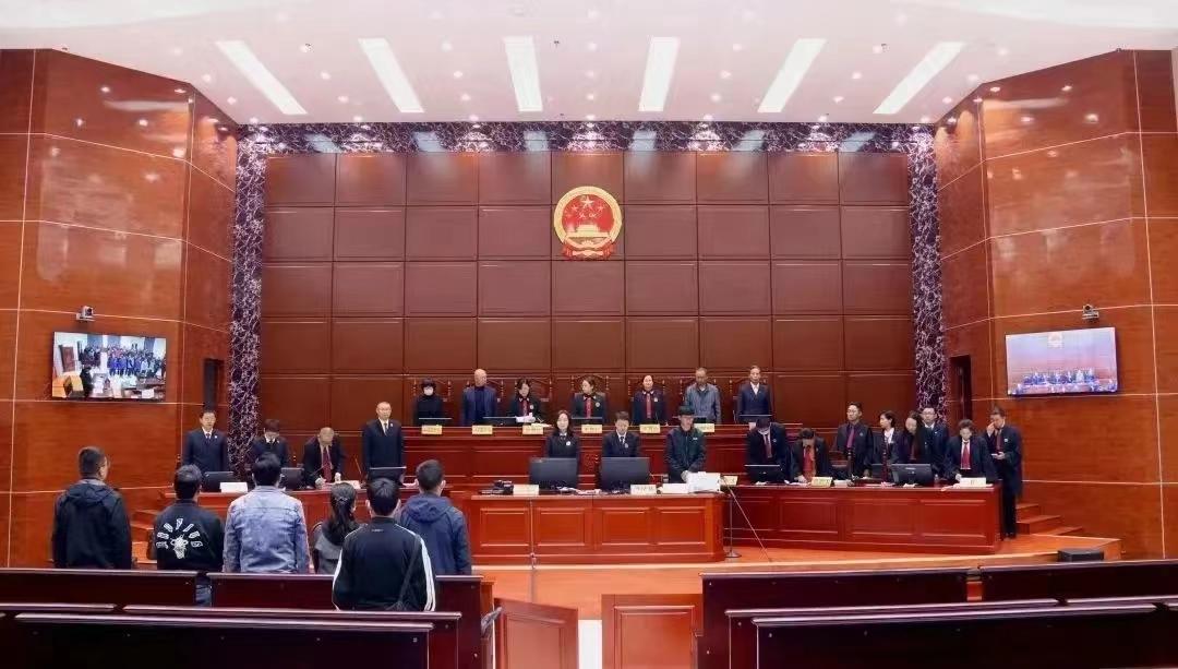 野牦牛视频，野牦牛头骨值得收藏吗