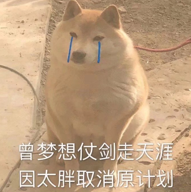 什么时候能开奔驰表情包 30cc-edbbc06cad32fcab204eb375e1c56506.png