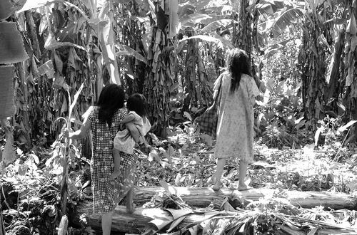 阿尔兹海默症基因,阿尔茨海默遗传吗