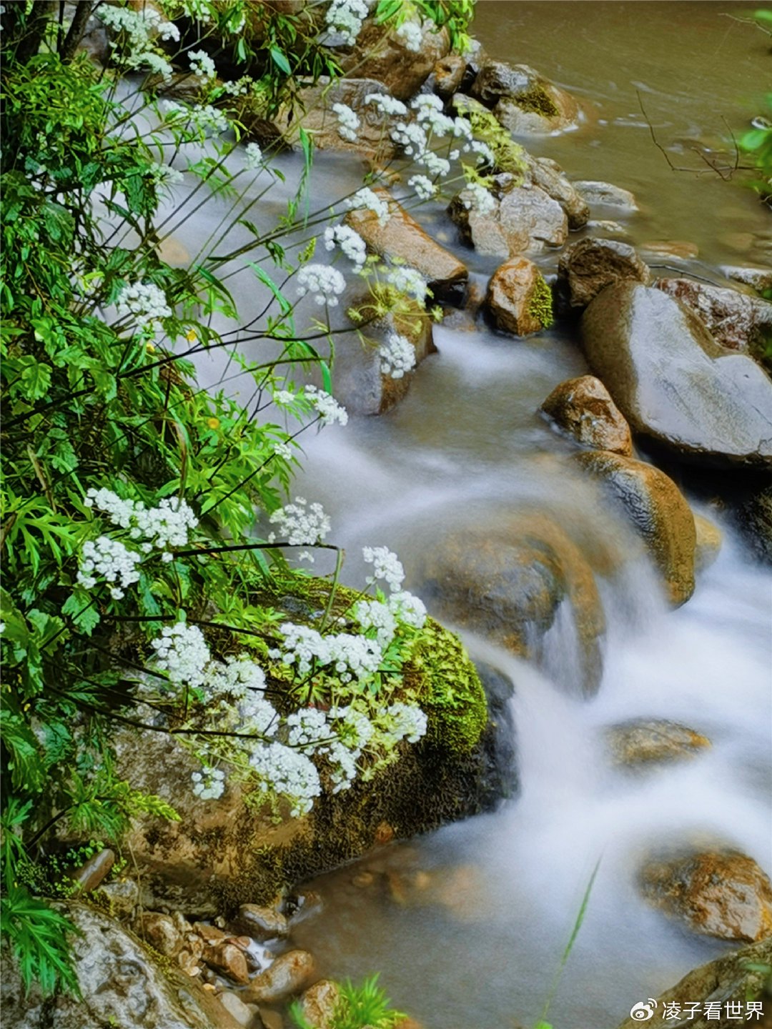 打卡甘肃遮阳山，探访张三丰成仙地