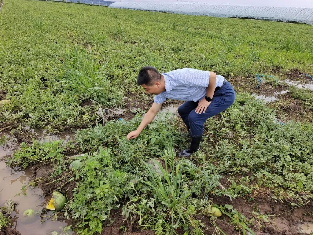 邮储银行黑龙江省宁安市支行工作人员实地走访客户,查看受灾情况