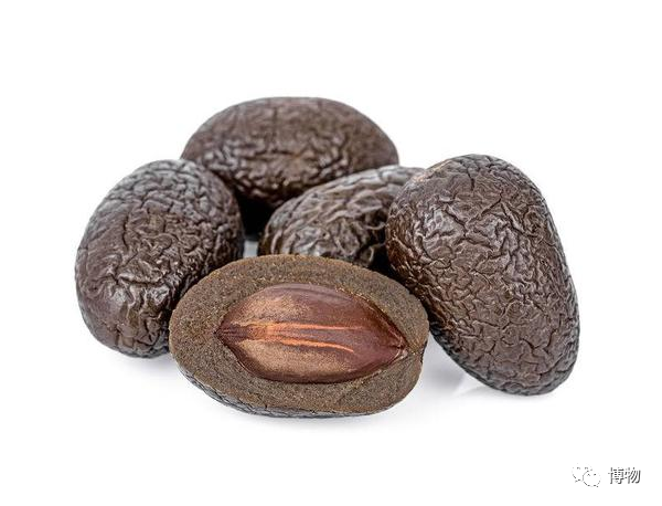 快把胖大海从你杯子里拿出来！