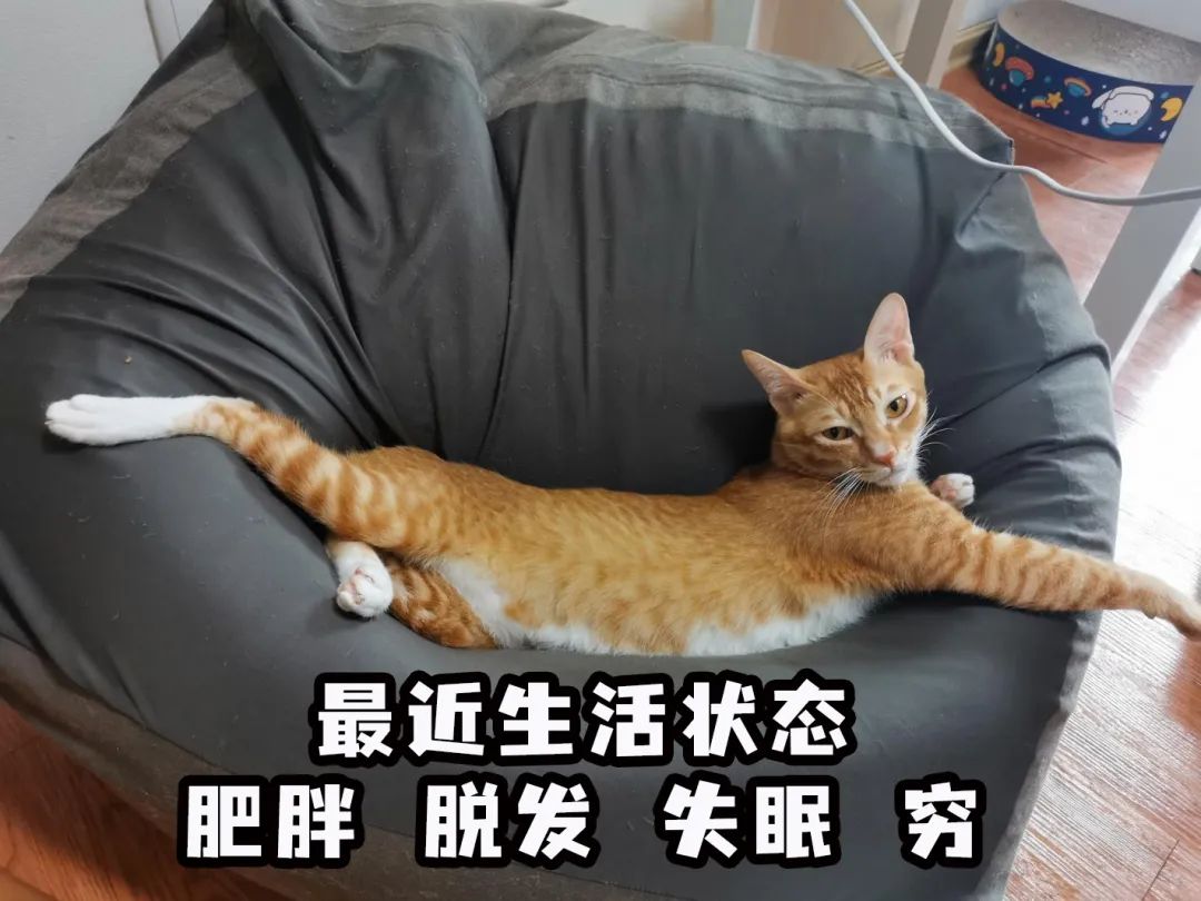 坐等下班图片大全 3453-37a079f443083c3b4308b5575c900064.jpg